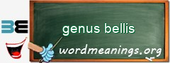 WordMeaning blackboard for genus bellis